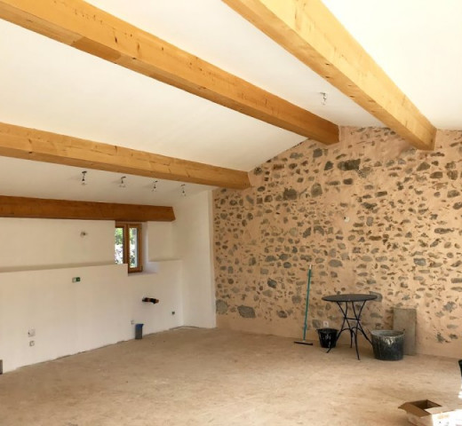 Pièce à vivre peinture