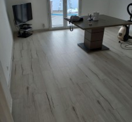 Francis multiservices parquet flottant peinture plinthes