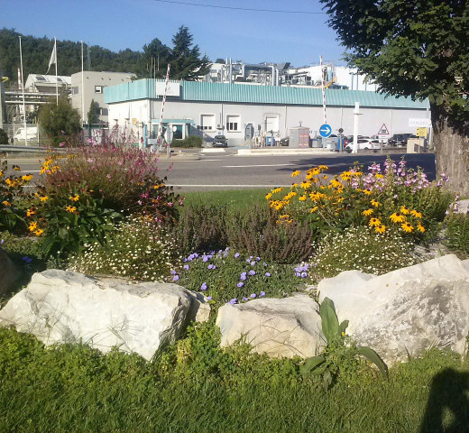 Massif décoratif Cols Verts Peipin Pépinière Cherche un pro.fr Annuaire Artisan