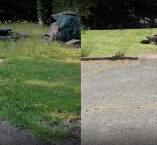 EFLICK désherbage Cherche Un Pro.fr