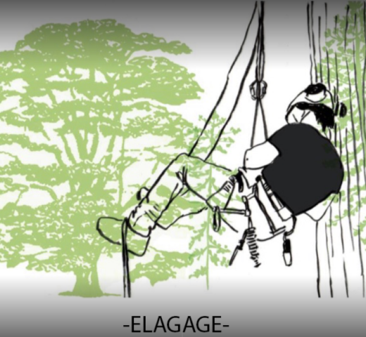 EFLICK élagage Cherche Un Pro.fr