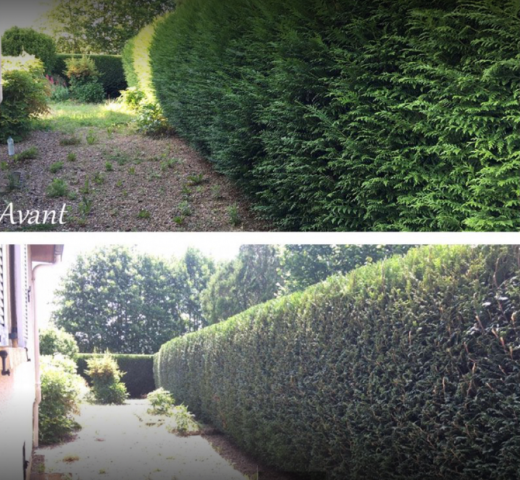 EFLICK nettoyage allée haie Cherche Un Pro.fr