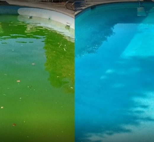 Ischo nettoyage de piscine Homme toutes mains - Multi travaux à Le Pontet 84 - Pisciniste, plomberie, maçonnerie - cherche un pro.fr Annuaire d’artisans locaux