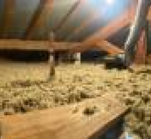 Projet Etudes Rénovation PER isolation soufflage cellulose Cherche un Pro annuaire artisan.jpg