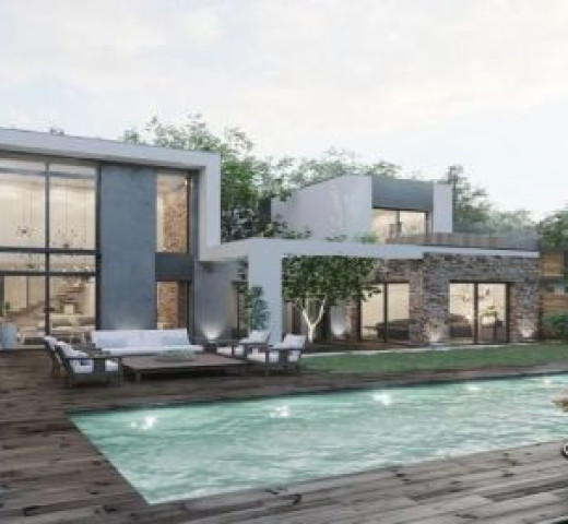 Monarchy Pierre Tissier Mazere maison piscine