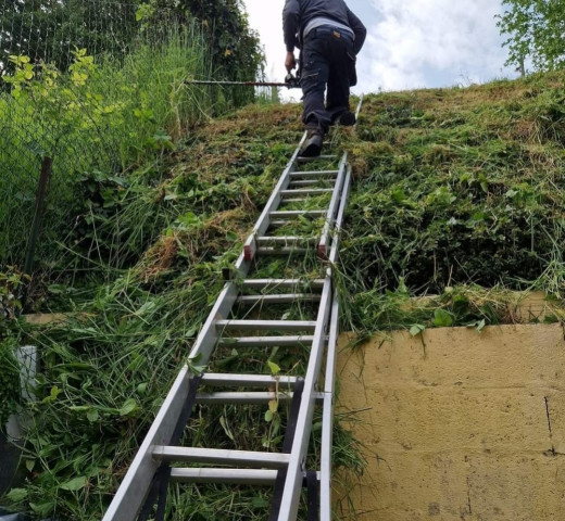 Sérénité et confort à Plasnes 27 élagage