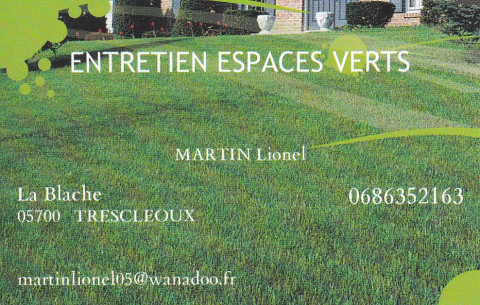carte de visite coordonnées martin lionel